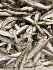 Lots of freshly frozen sprats top view.