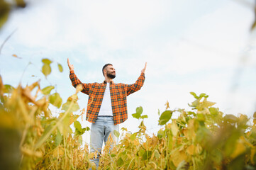 Farmer, agronomist in the soybean field. Controlling the growth of agricultural crops