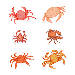 Graphic set crabs