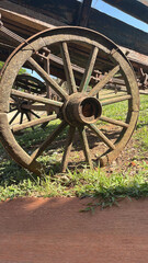 Obraz premium Old wagon wheel exposed outdoors.