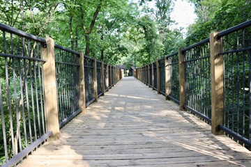 The long walkway bridge in the park.