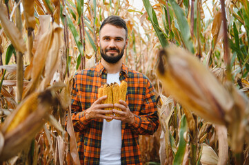 A young agronomist inspects the quality of the corn crop on agricultural land