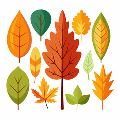 Obraz premium autumn leaves collection vector, svg