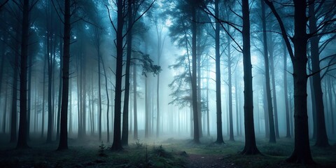 Minimalist dark foggy forest with black trees, spooky atmospheric Halloween wallpaper header background