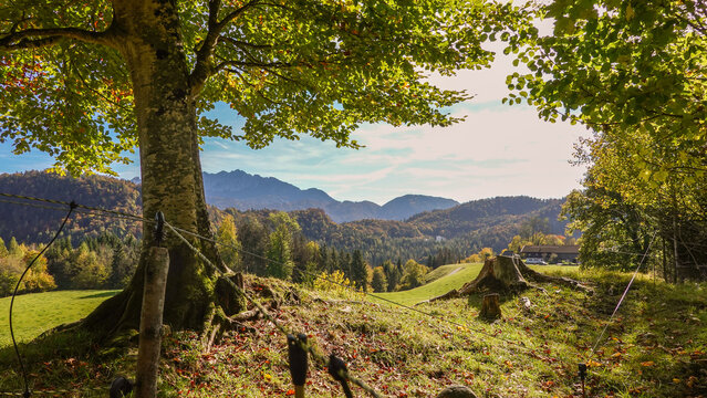 Wanderung zur Gie&szlig;enbachklamm in Oberbayern