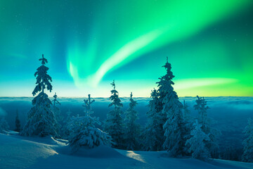 Fairy winter mountains with snowy fir-trees and incredible Northern lights in starry sky. Christmas nightscape with Polar lights. Aurora Borealis