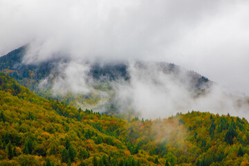 Landscape with steam above the forest in autumn