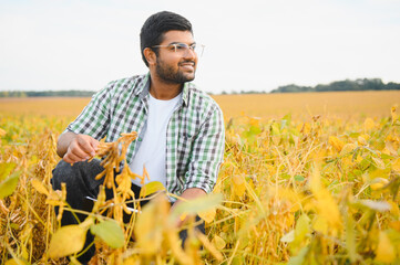 An Indian farmer in a soybean field