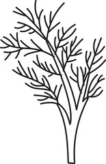 dill herb spice ingradient food clipart