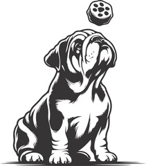 bulldog with Balancing a treat on the nose silhouette vector design.