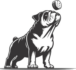 bulldog with Balancing a treat on the nose silhouette vector design.