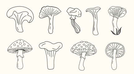 Hand Drawn Mushrooms Doodle Sketch Icon Collection
