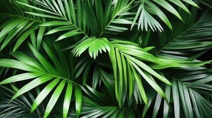 Lush Tropical Greenery Background