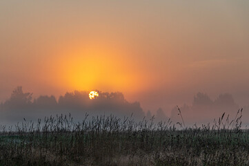 sunrise over the field