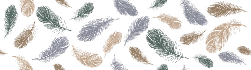 Feathers pattern on white background, Hand drawn sketch style.
