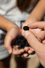 The girl has a black blackberry in her hands