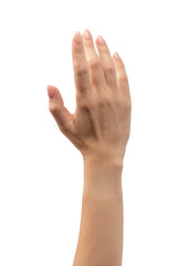 Obraz premium Woman hands with nude manicure isolated on a white background.
