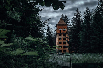 A tall, unfinished brick tower stands forgotten in the dense forest, surrounded by towering pine...
