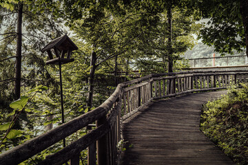 Fototapeta premium A tranquil wooden bridge leads through the trees in a peaceful forest park. The inviting path is perfect for a leisurely stroll, surrounded by the calming sounds of nature.