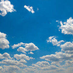 blue sky covered white clouds