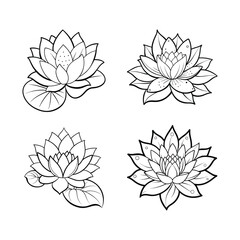 set of lotus flowers vector illustration