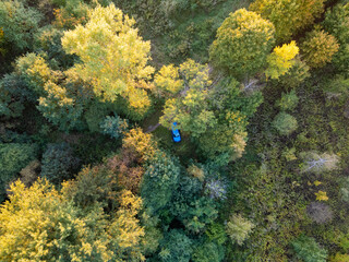 Aerial view of a blue car parked among the autumn trees, top-down perspective.