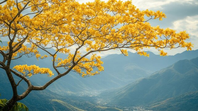 Beautiful Yellow Tree Overlooking Mountain Valley