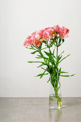 Flowers bouquet pink alstroemeria, Lily of the Incas, in vase on isolated white background
