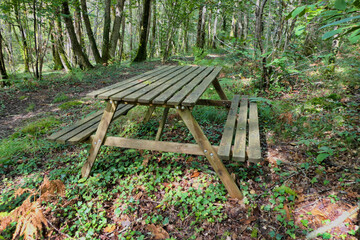 Picnic table set in a tranquil setting off a pathway in a natural woodland
