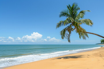 Obraz premium A palm tree is standing on a beach with a clear blue sky above