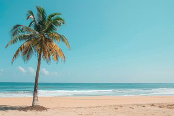 Fototapeta premium A palm tree is standing on a beach with a clear blue sky above