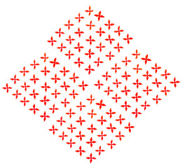 Bush Ixora coccinea flower, red ixora with leaves isolated on white background with clipping path.