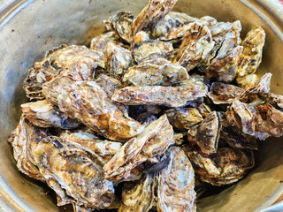 Korean Seafood Food. Steamed oysters