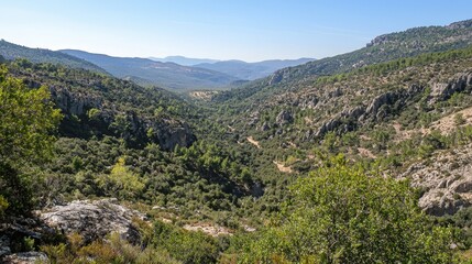 Fototapeta premium Breathtaking panoramic view of a lush valley nestled among rolling hills in a serene landscape