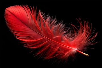 Obraz premium Close-up of a vibrant red feather against a deep black background. The soft, delicate texture and bright color create a striking and bold minimalistic composition.