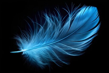 Naklejka premium Close-up of a delicate blue feather against a black background. The soft texture and vibrant color create a striking contrast, with plenty of copy space for text or design.