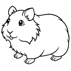 Hand Draw abyssinian-guinea-pig-vector Illustration(13)