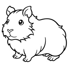 Hand Draw abyssinian-guinea-pig-vector Illustration(13)