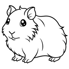 Hand Draw abyssinian-guinea-pig-vector Illustration(13)