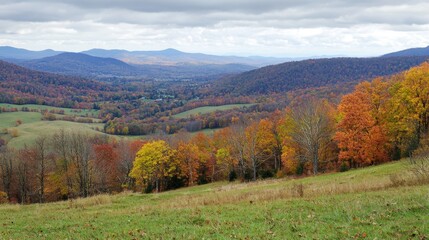 Fototapeta premium Vibrant autumn tapestry of rolling hills and colorful foliage in the countryside
