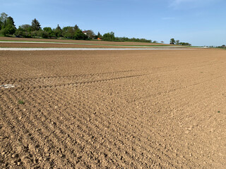 A wide-open agricultural field with freshly plowed soil, ready for planting under a bright blue sky.