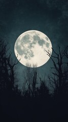 Fototapeta premium A serene Halloween night with a full moon illuminating twisted trees in a dark forest
