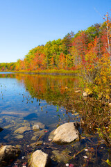 Fall Leaves in New England Autumn, Vermont, New Hampshire, Massachusetts, Maine. 