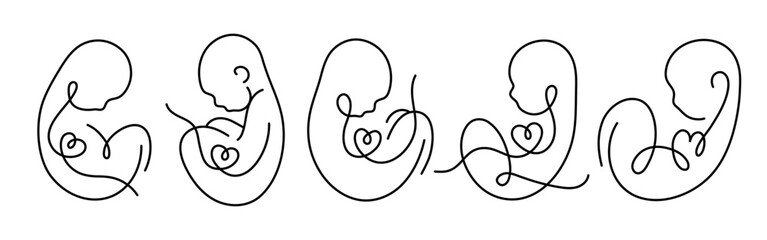 Baby Fetus silhouette line art. Birth announcement. Embryo with heart. Motherhood. Pregnancy. Vector.