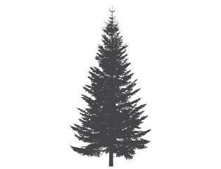 Fototapeta premium spruce tree silhouette. Christmas tree. Christmas, New Year and nature design element. isolated vector illustration in simple style