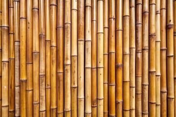 Fototapeta premium Bamboo texture background with natural pattern