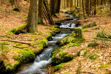 Ein Waldbach mit einzelnen kleinen Wasserfällen