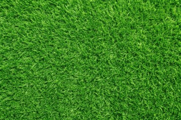 Background texture of summer grass lawn