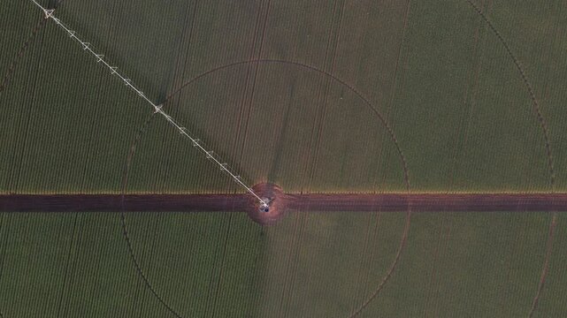 Drone footage of a central pivot of garlic field in brazil