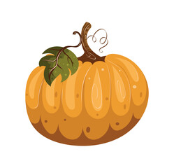 autumn orange pumpkin, vector illustration, vector pumpkin, halloween